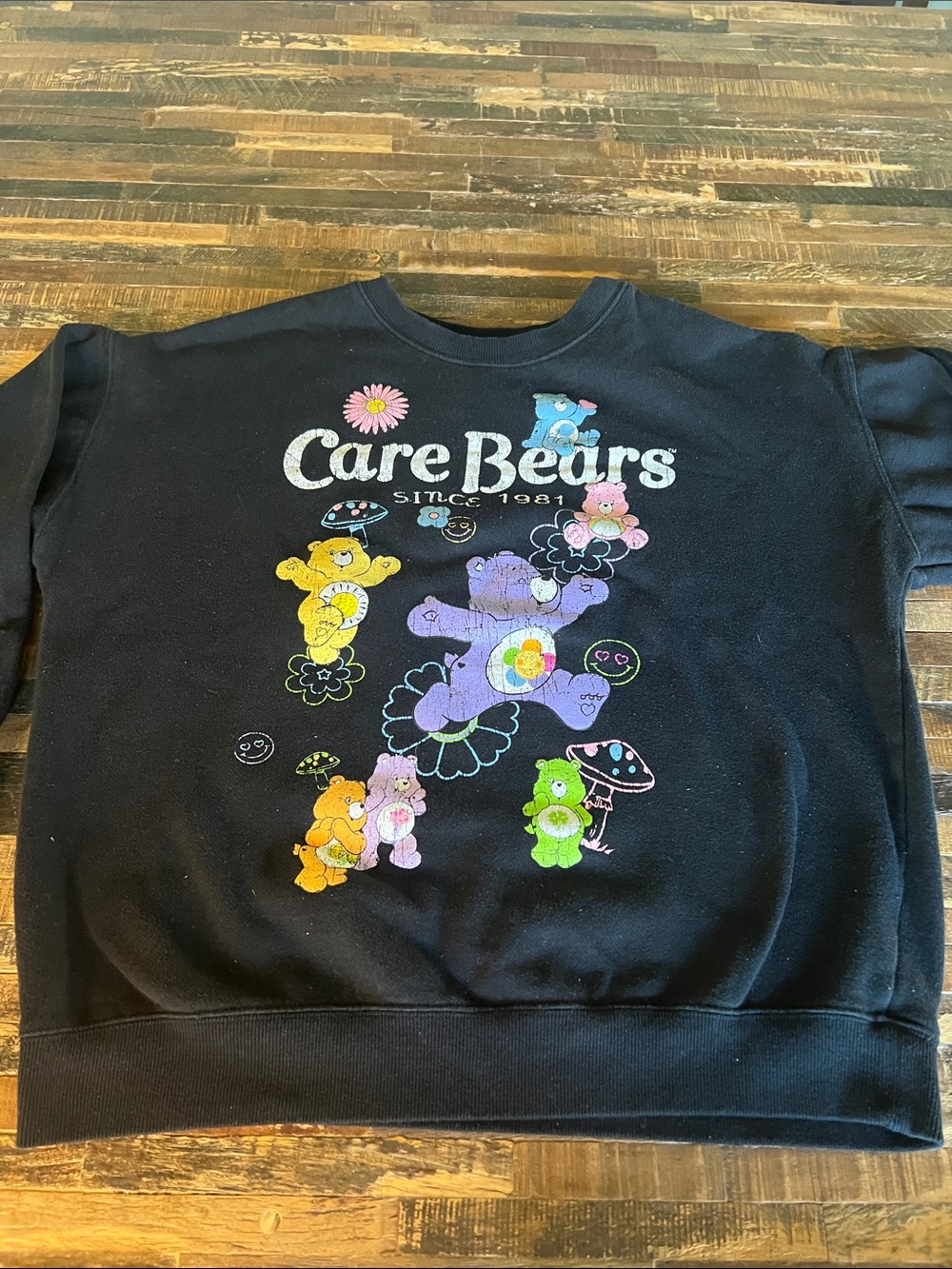 Care Bears Black Sweatshirt with Multicolor Bears Graphic